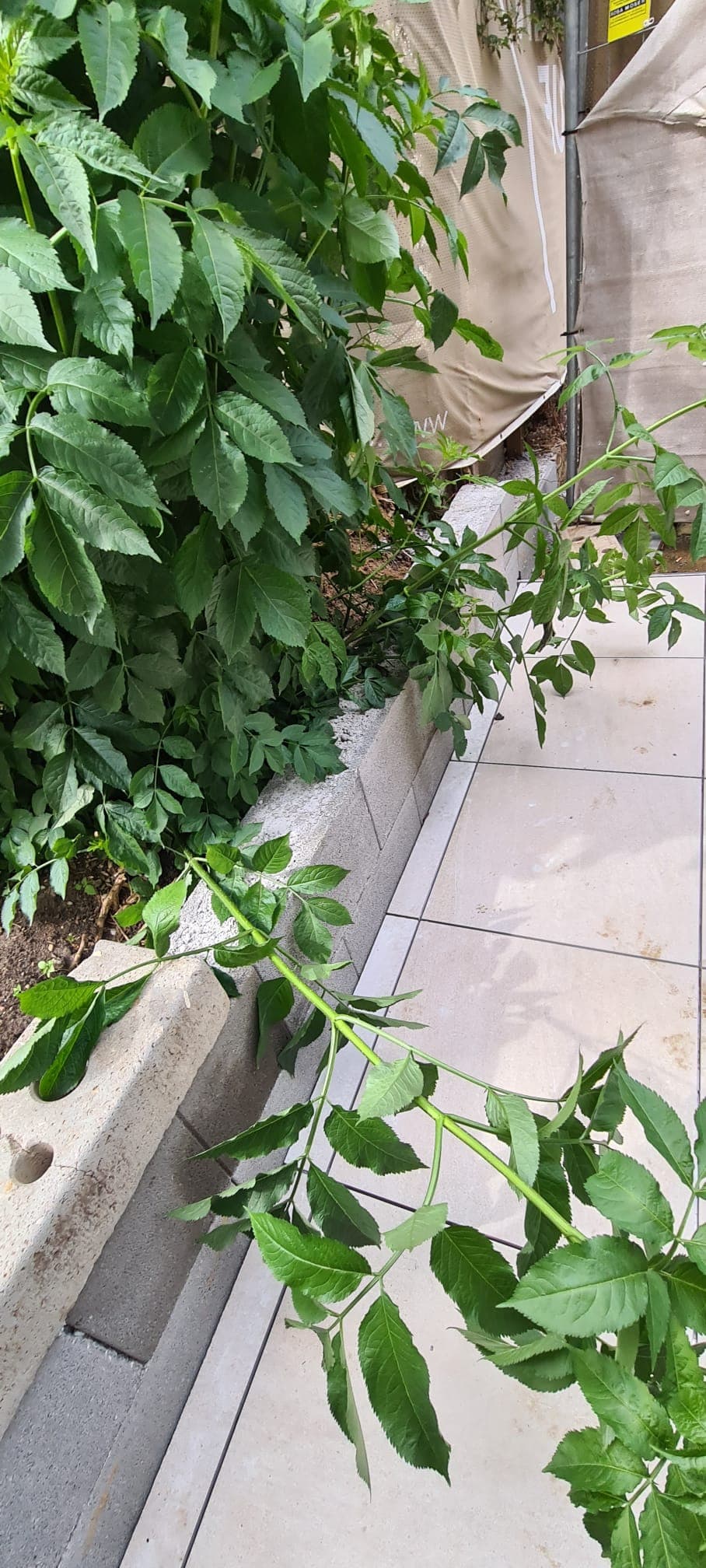 Terrassenbau Projekt